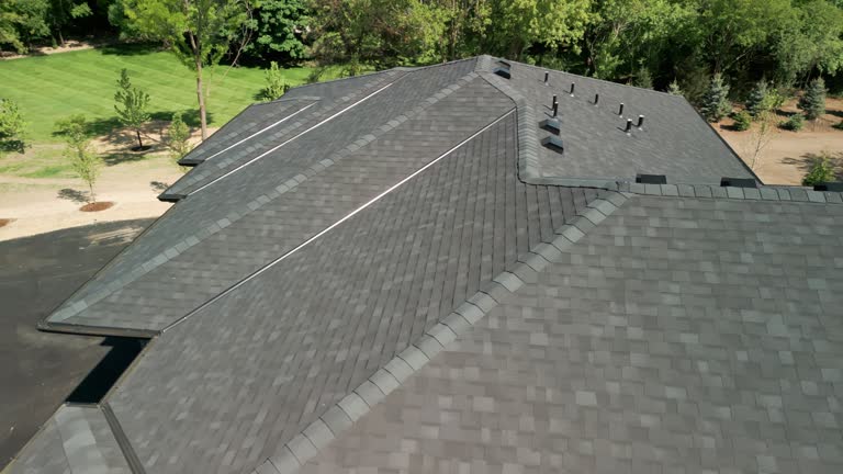Best Sheet Metal Roofing  in Doniphan, MO