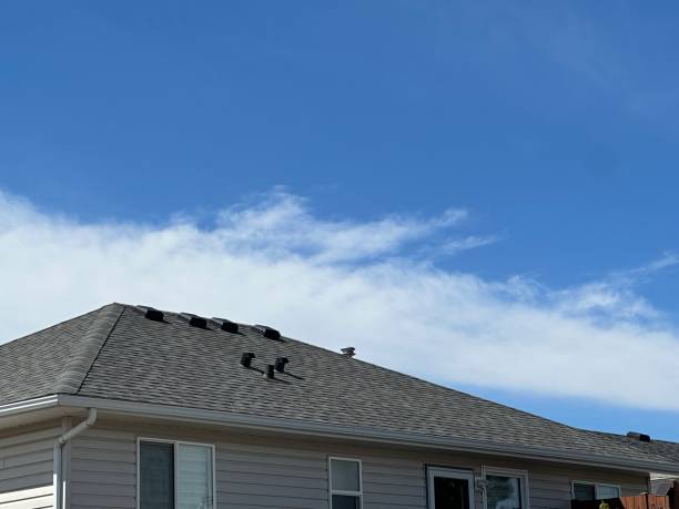 Best Asphalt Shingle Roofing  in Doniphan, MO